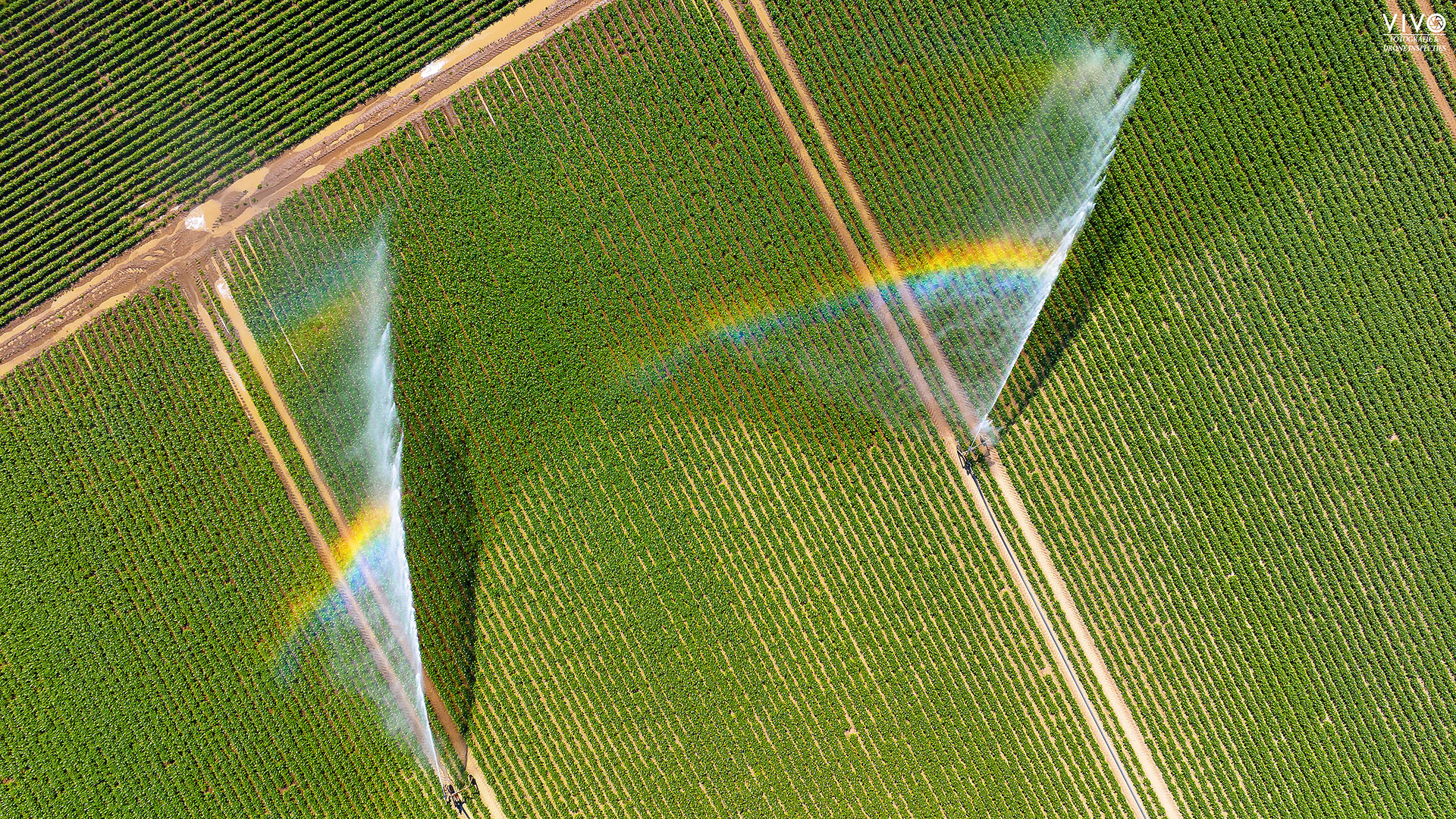 vivo_drone_fotografie_agri